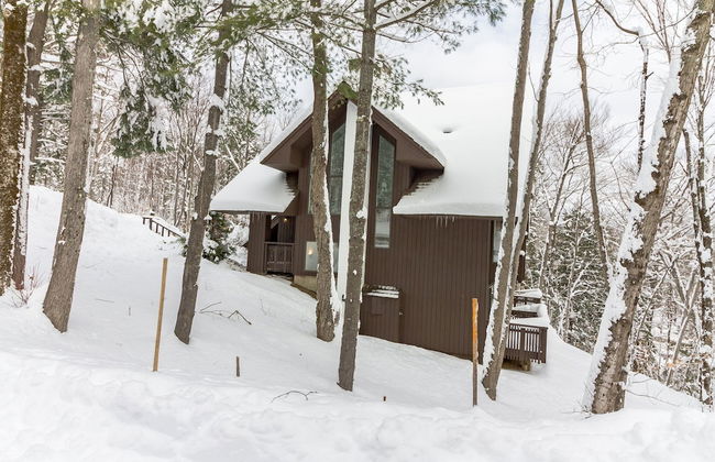 Slopeside In Okemo - Beautifully Renovated Spacious Family Townhouse 3 Bedroom Townhouse by RedAwning - Foto 32