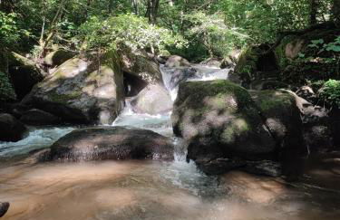 tiny house Cantal - Foto 16