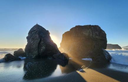 Bodega Bay Sonoma Coast Ocean Views 3 Bedroom Home - Foto 44