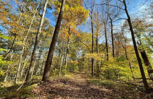 Mello-Ray River House - Photo 28