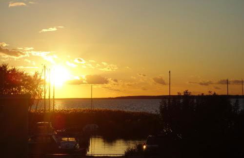 Alter Schulgarten - Foto 24