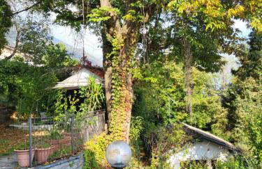 Mid of Nature ' Bella Vista Lago Maggiore charmant mit traumhaften Seeblick, Terrasse und großen Garten - Foto 59