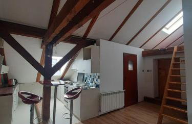 Loft przy Starym Mieście - Foto 1