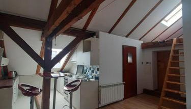 Loft przy Starym Mieście - Foto 1