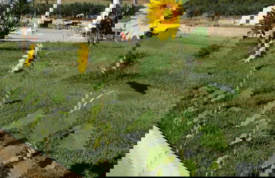 Agriturismo Fieri - Photo 52