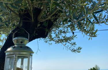 Mezzo Ciel - Foto 41