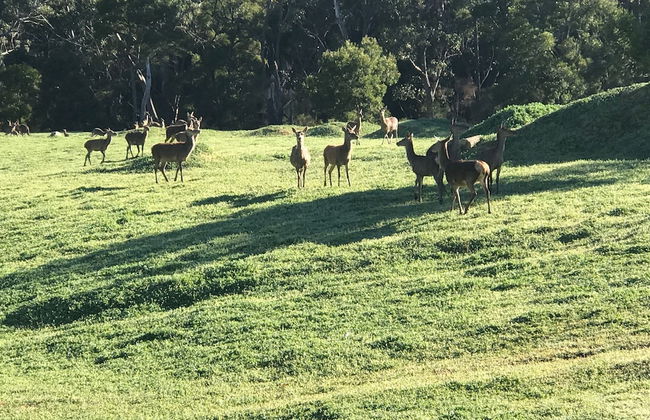 Ironstone Romantic Couples Retreat - Photo 14