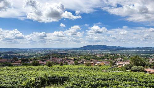 Agriturismo Rive del Bacio - La Dimora - Foto 2