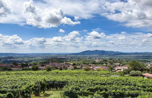 Agriturismo Rive del Bacio - La Dimora - Foto 2