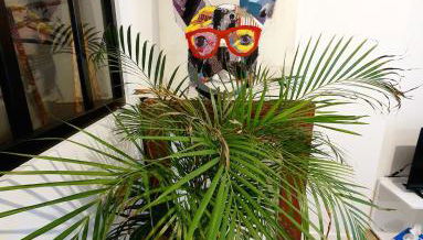 Appartement Saint Martin - Foto 2