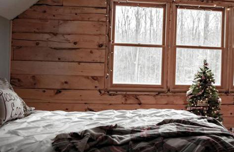 Cozy Cabin near Lake Ontario Ideal for a Family Retreat - Photo 21