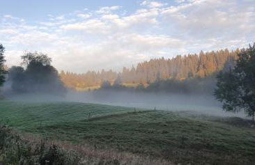 Manu's Ferienwohnung - Foto 47