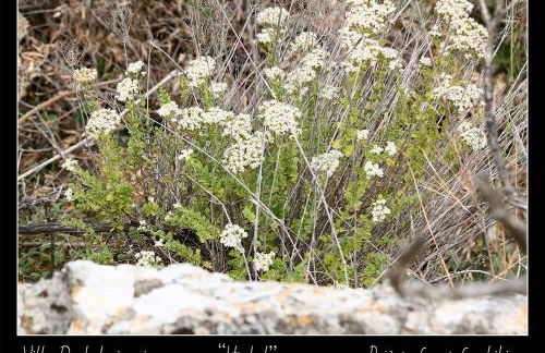 Villa Daskalogianni - Foto 58