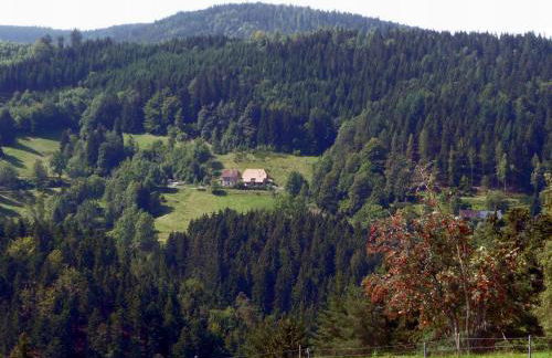 Landhaus Valentin - Foto 58