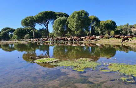 Casa Ypsilon Olive Oil - Photo 20