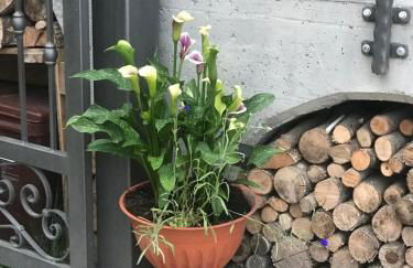 Casa Paolina - CIPAT 57814 - Photo 30