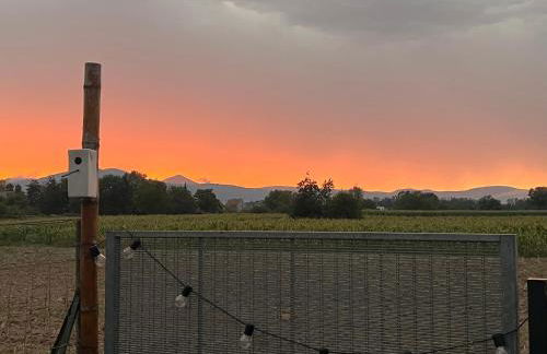 Studio la magie de Noël - Foto 10