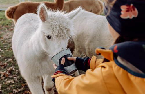 Ferienhof Petermühle Urlaub mit Alpakas - Foto 48