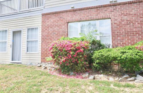 Coralbell Villa - University City - Foto 23