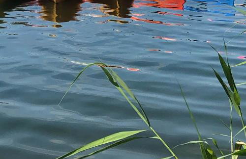 Leśna 6 - House with a garden - Foto 4