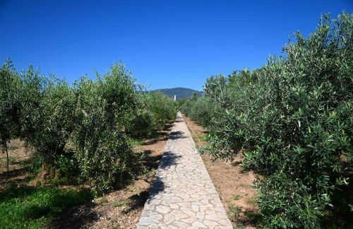 Villa of luxury and serenity - Photo 30