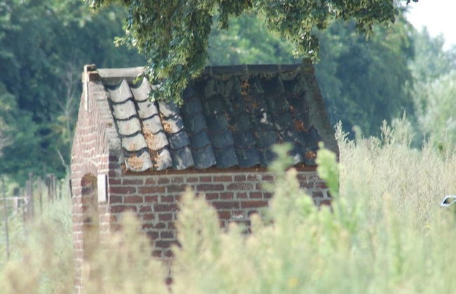 Pet Friendly & Peaceful Stay - Foto 28