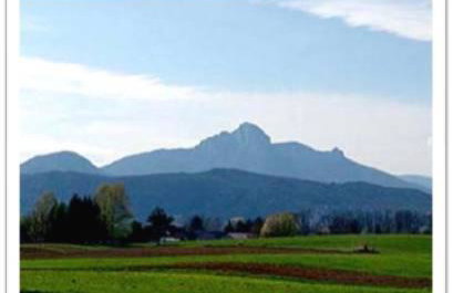 Apartments Nino - Foto 37