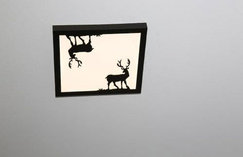 Cuori, Cervi e Caprioli - Foto 17