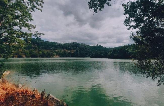 Forest Hideaway Near Douro Valley - Foto 23