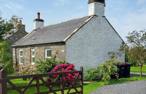 Wee Dug Hoose - Foto 1