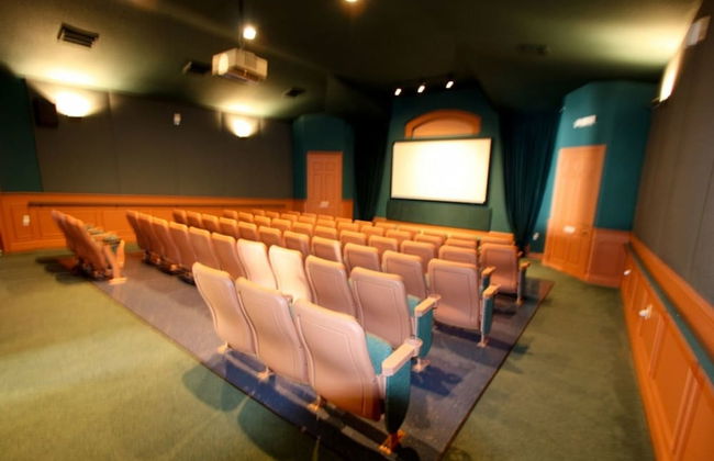 8118 Windsor Palms - Foto 29