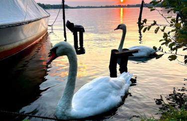 Ferienwohnung am See - Foto 14