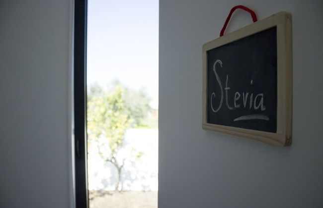 Casa dos Aromas - Foto 10