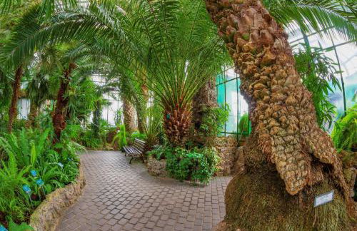 Apartament Silver - Głuszyca - Góry Sowie - Foto 35