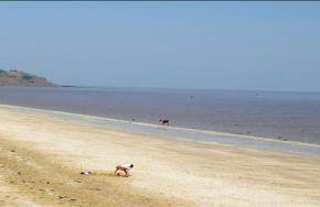 Holiday Park Caravan Fluffy in Harts Holiday Park - Photo 39