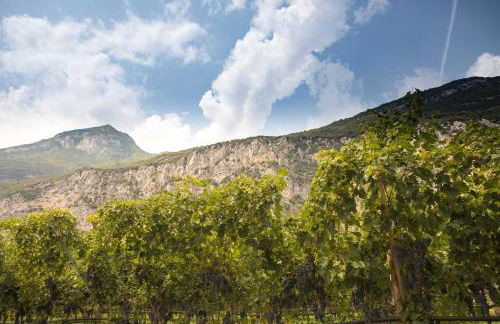 Agriturismo Sarca House - Foto 21