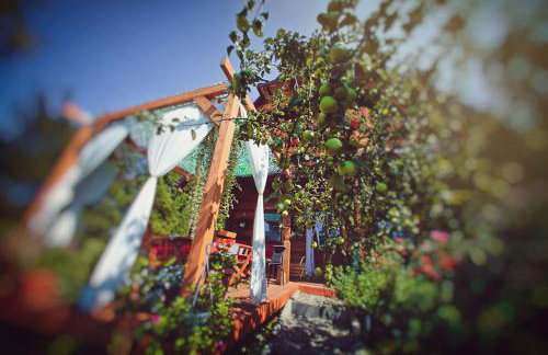 Miętowy Anioł - Foto 17