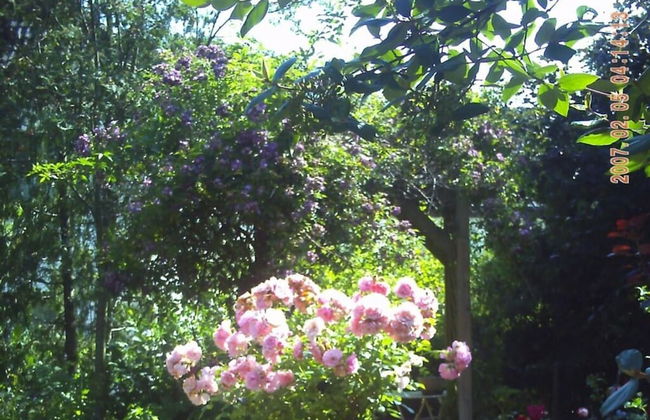 Holiday Apartment Kirchhoff - Foto 20