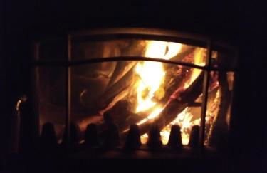 Os Carrís - Foto 14