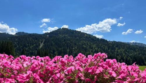 Gästehaus Nussbaumer - Photo 2