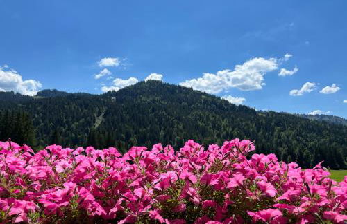 Gästehaus Nussbaumer - Photo 2