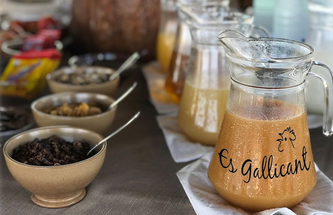 Agroturismo Es Gallicant - Foto 75