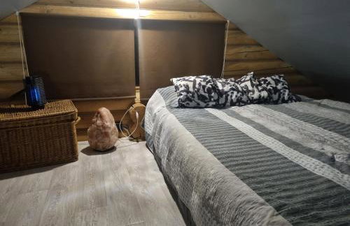 Agroturystyka dom z bali całoroczny - Foto 22