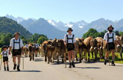 Hornblick FEWO- ab Mai freie Fahrt mit Bergbahnen - Foto 13