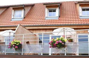 Gîte Binnert Bader - Foto 38