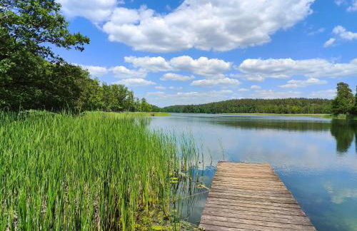 Villa Stare Osieczno - Foto 56
