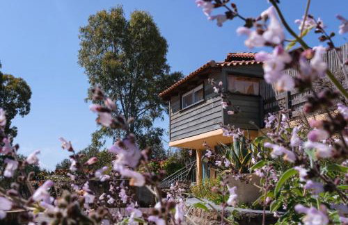 Nectar Cottages - Foto 23