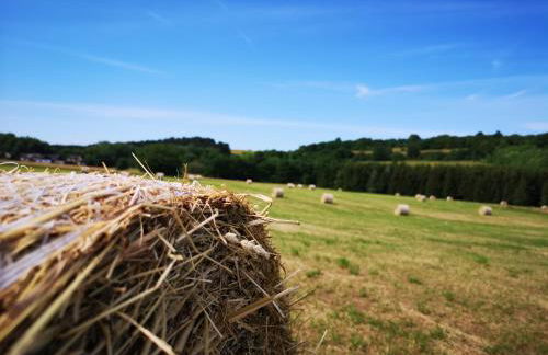 Ferienwohnungen Harzblick - Foto 44