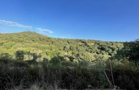 STAZZU LU CHISSONI - Foto 50