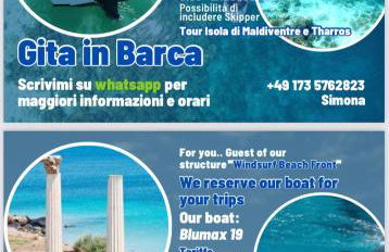 Windsurf Beach Front - Photo 20